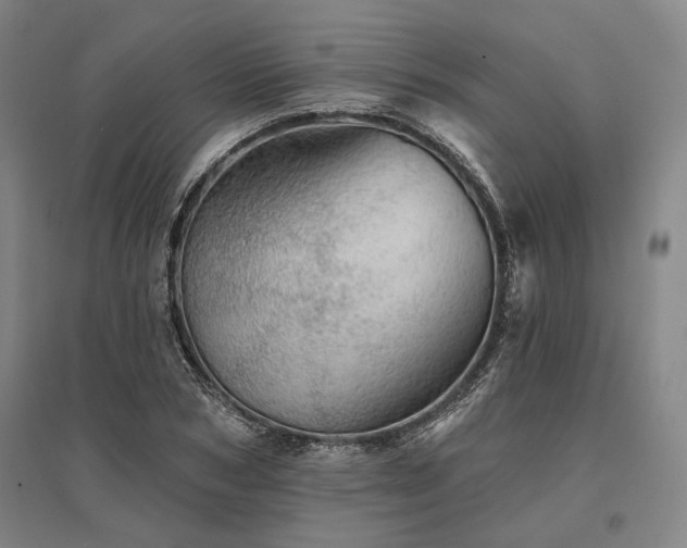 X0000095510978200712141420
