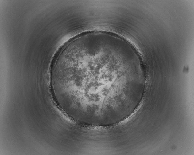 X0000095510982200712141420