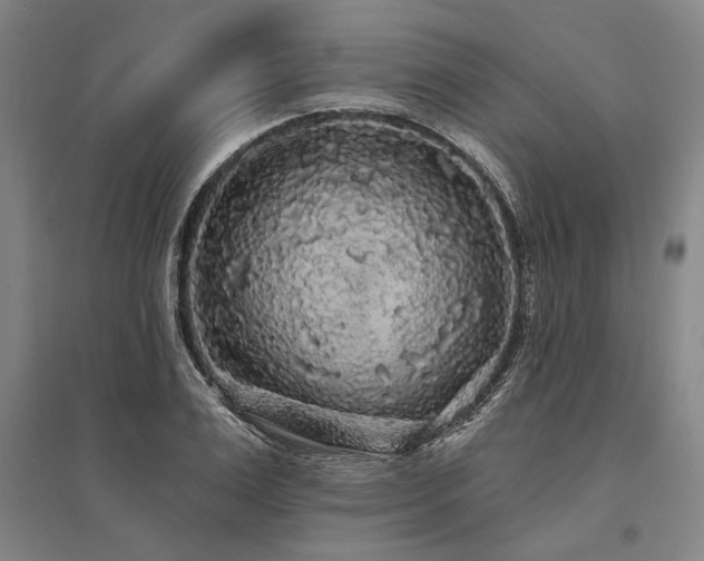 X0000095510983200712141420
