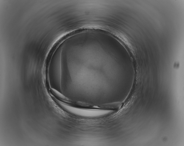 X0000095510984200712141420