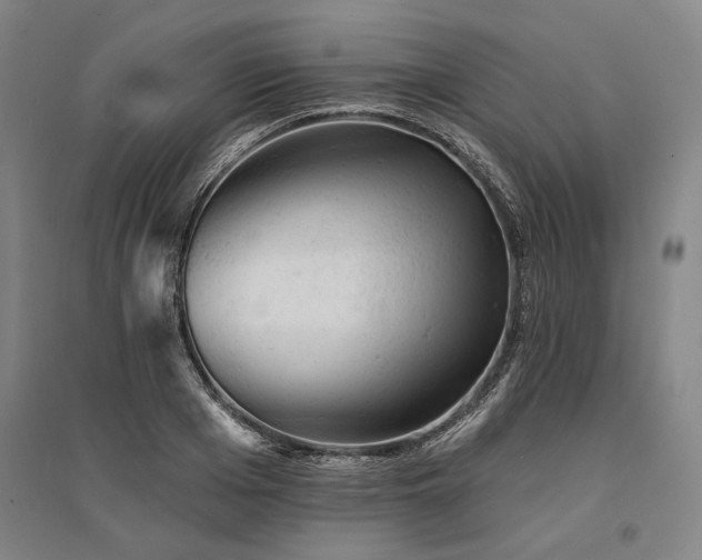 X0000095510985200712141420