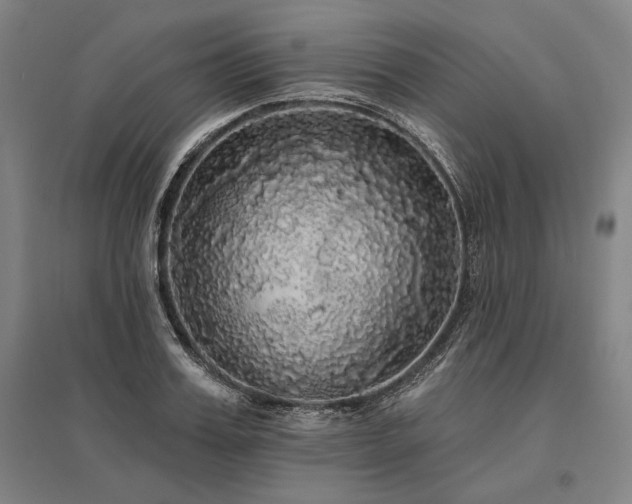 X0000095510987200712141420
