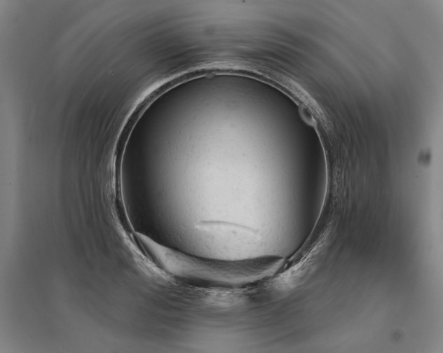 X0000095510988200712141420