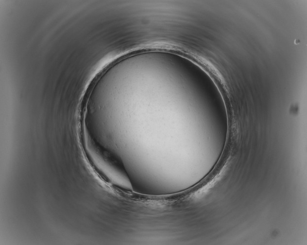 X0000095510989200712141420
