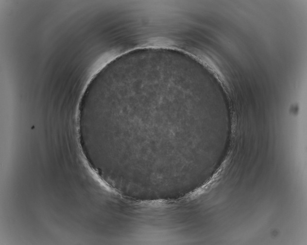 X0000095510990200712141419