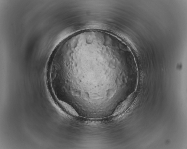 X0000095510991200712141419