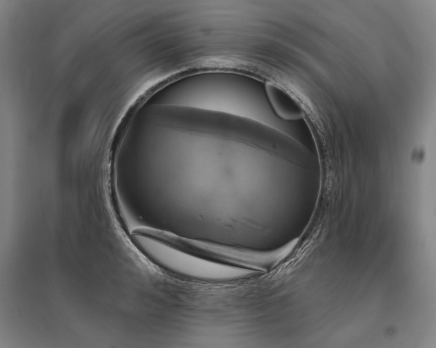 X0000095510992200712141419
