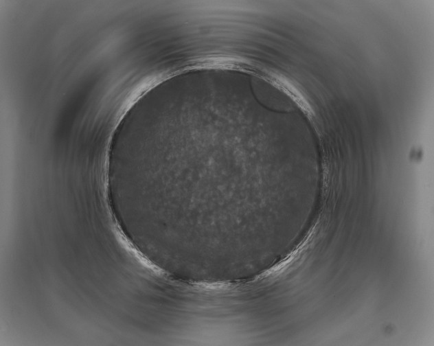 X0000095510994200712141419