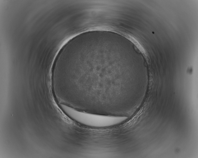 X0000095510996200712141419