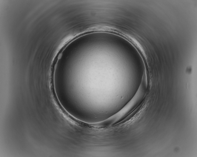 X0000095510997200712141419