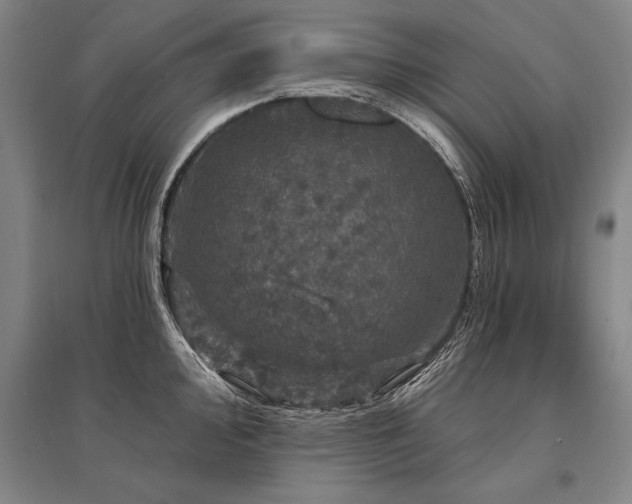 X0000095511000200712141419