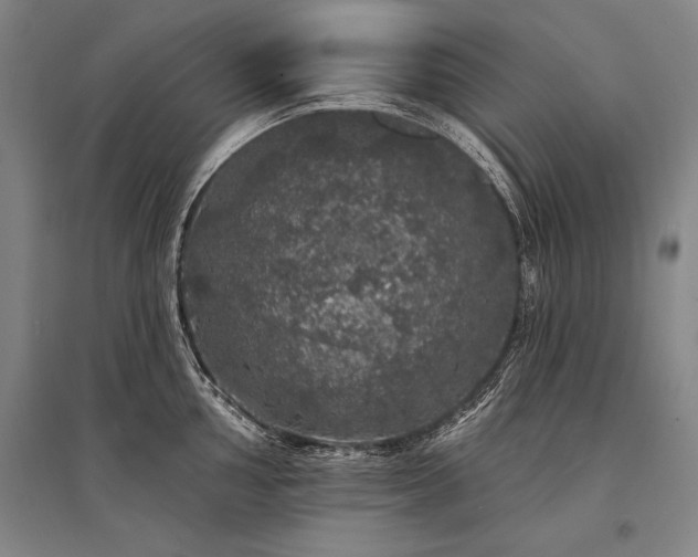 X0000095511002200712141419