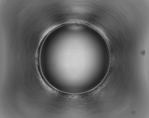 X0000095511003200712141419