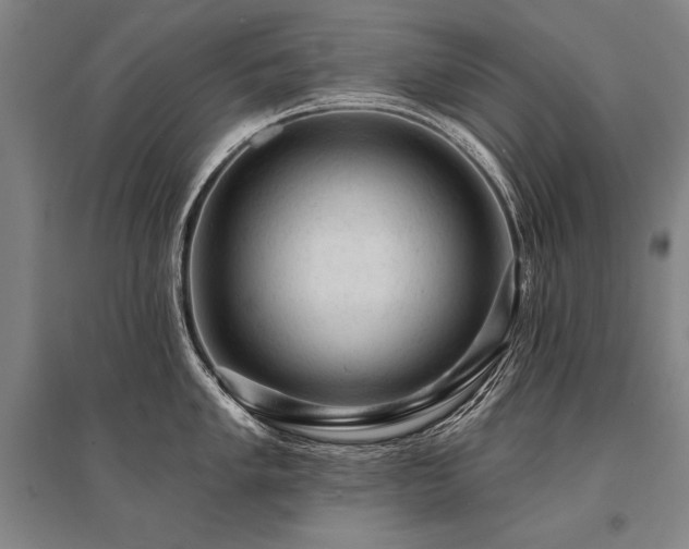 X0000095511005200712141419