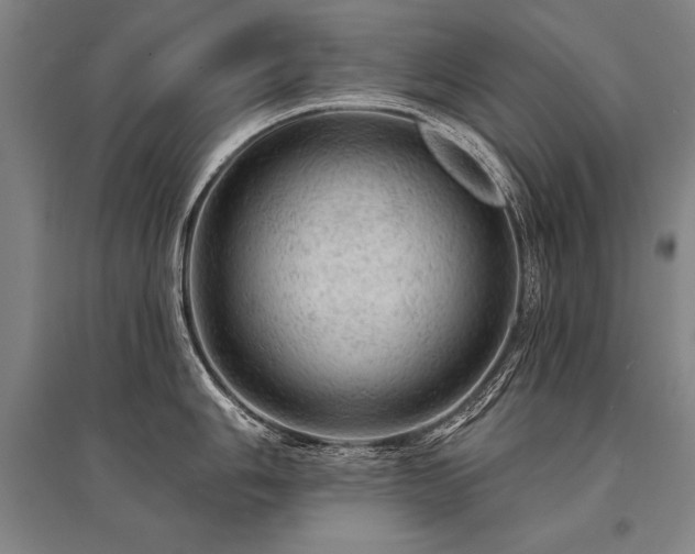 X0000095511006200712141419