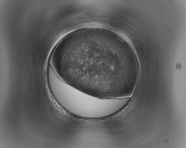 X0000095511008200712141419