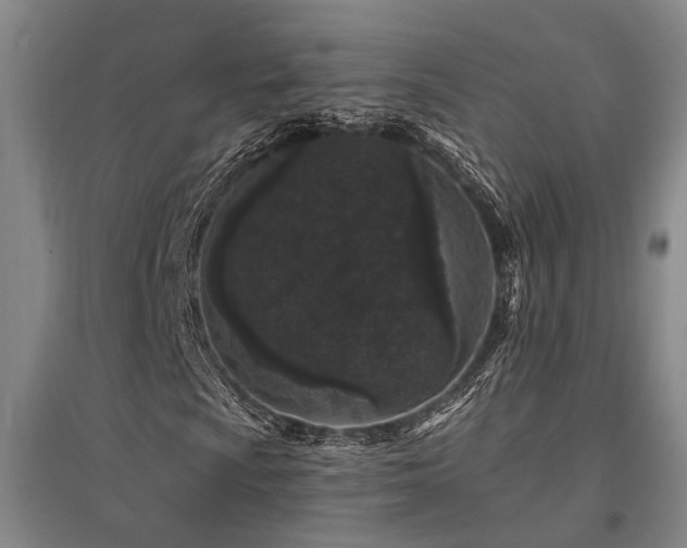 X0000095511009200712141419