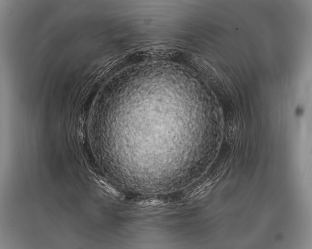 X0000095511010200712141419