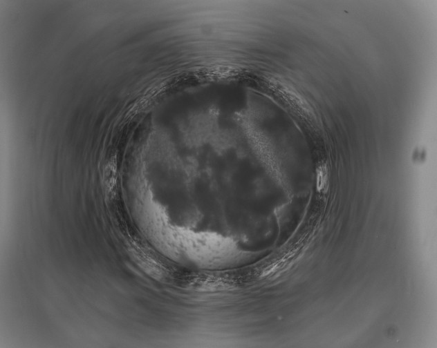 X0000095511011200712141419