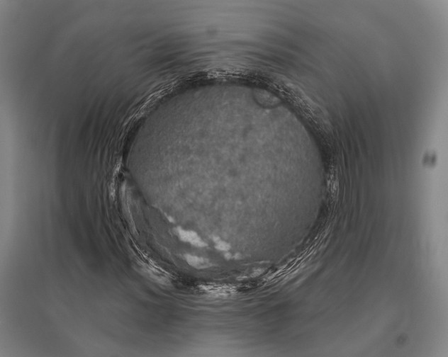 X0000095511012200712141419