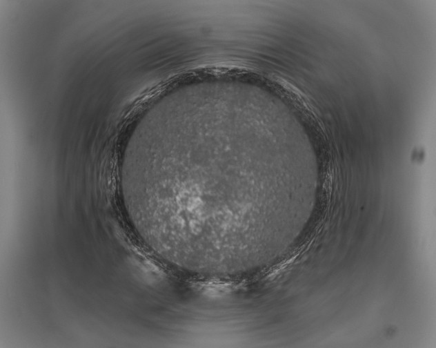 X0000095511014200712141419