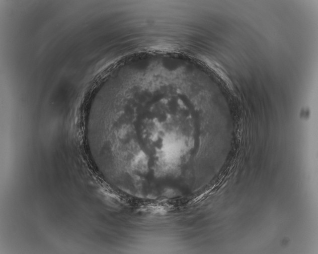 X0000095511015200712141419