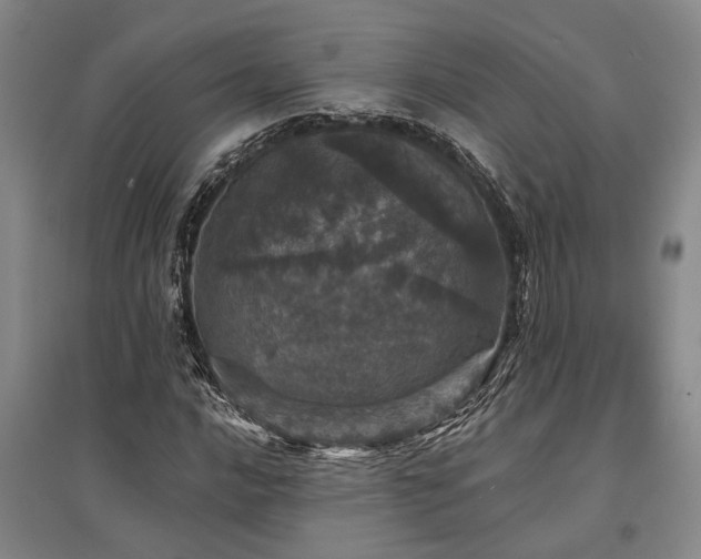 X0000095511016200712141419