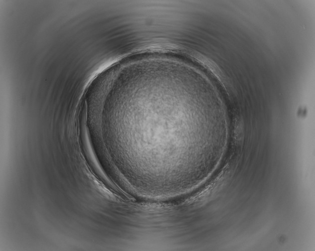 X0000095511018200712141419