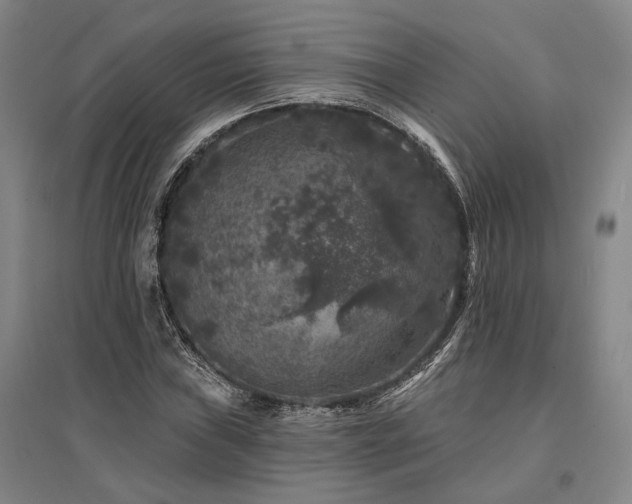 X0000095511019200712141419