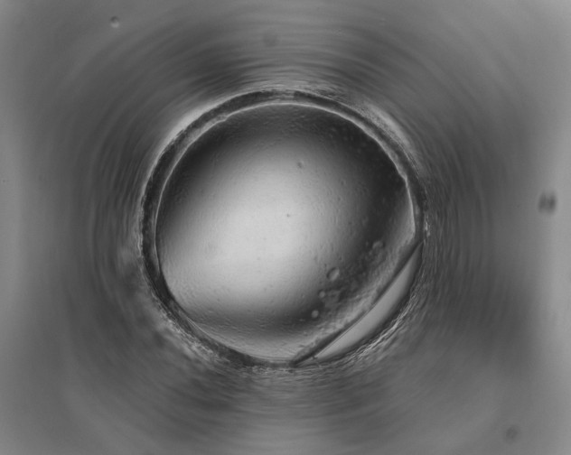 X0000095511020200712141419