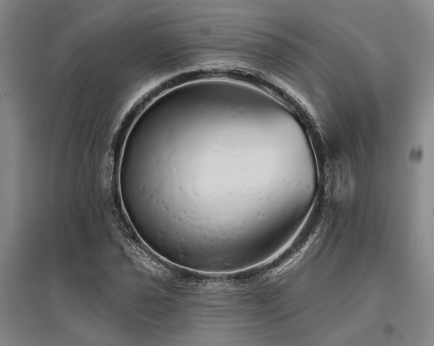 X0000095511021200712141419