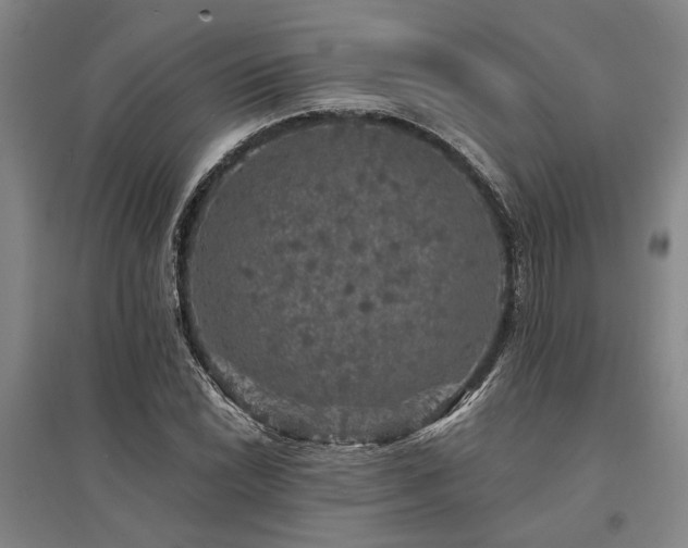 X0000095511022200712141419