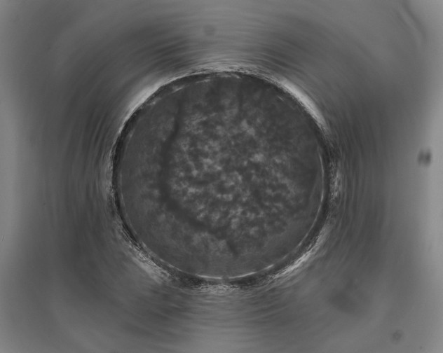 X0000095511023200712141419