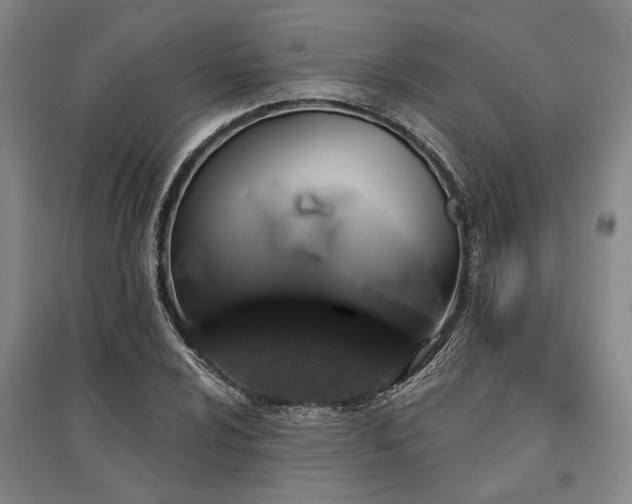 X0000095511024200712141419