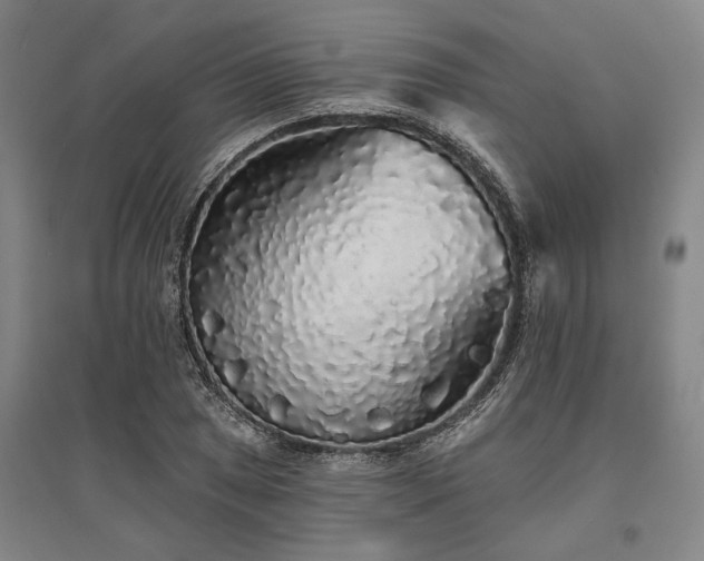 X0000095511025200712141419
