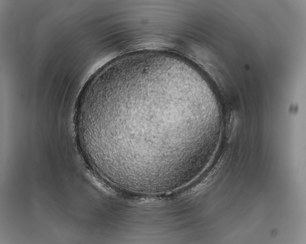 X0000095511026200712141419