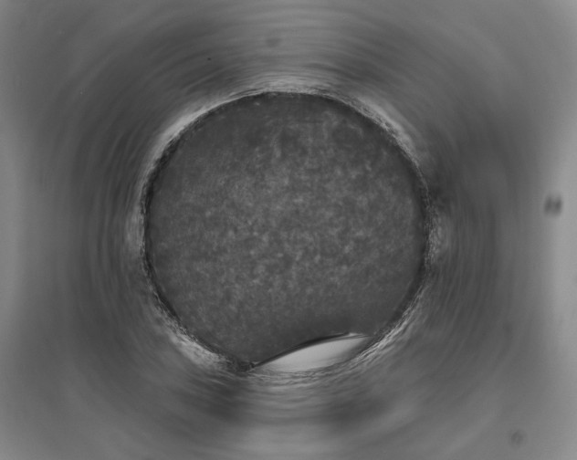 X0000095511027200712141419