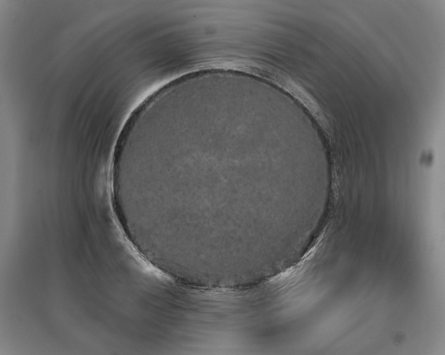 X0000095511028200712141419