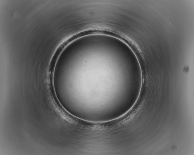X0000095511029200712141419