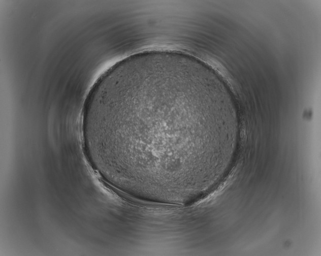 X0000095511030200712141419