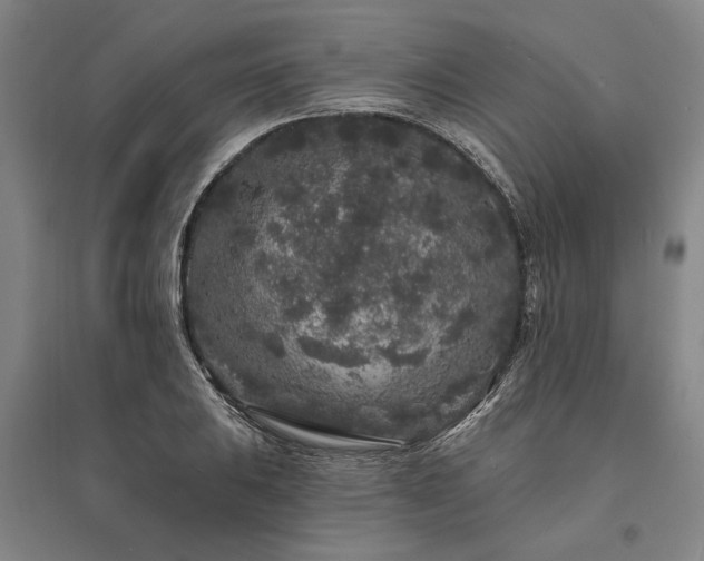 X0000095511031200712141419