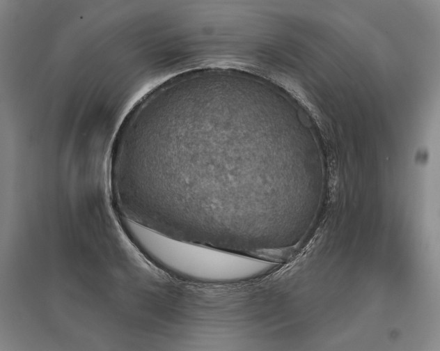 X0000095511032200712141419
