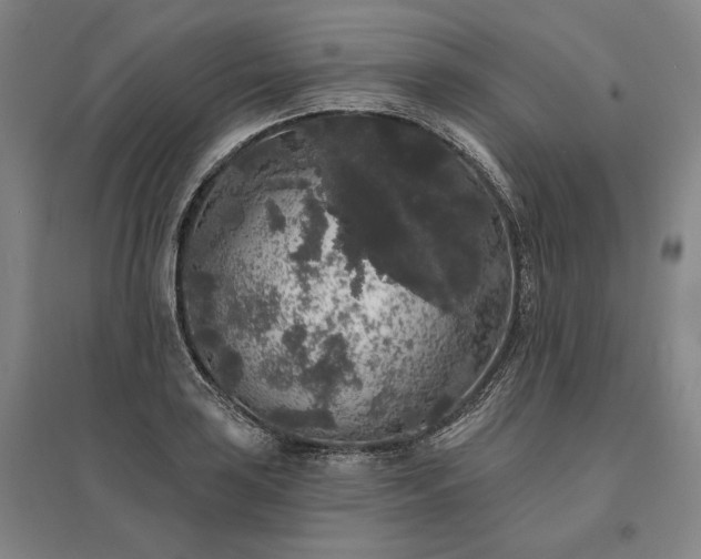 X0000095511035200712141419