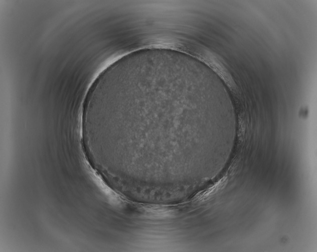 X0000095511036200712141419