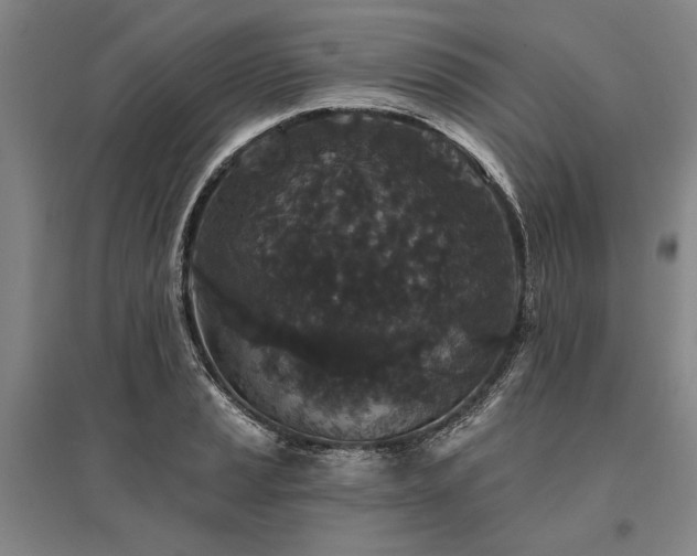 X0000095511037200712141419