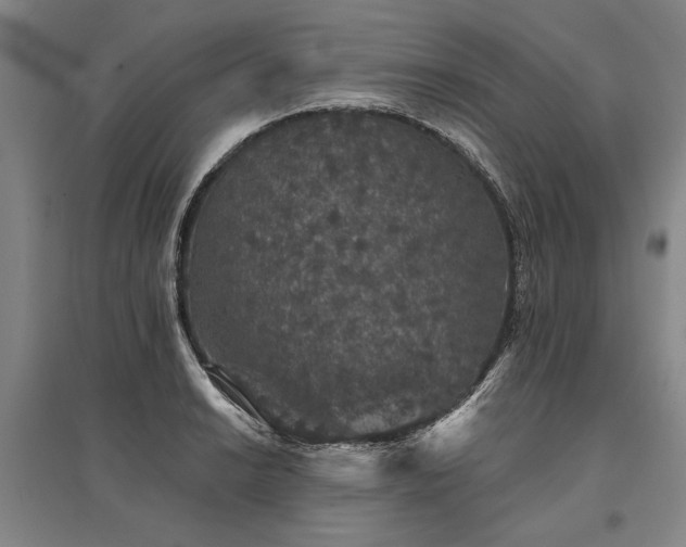 X0000095511038200712141419