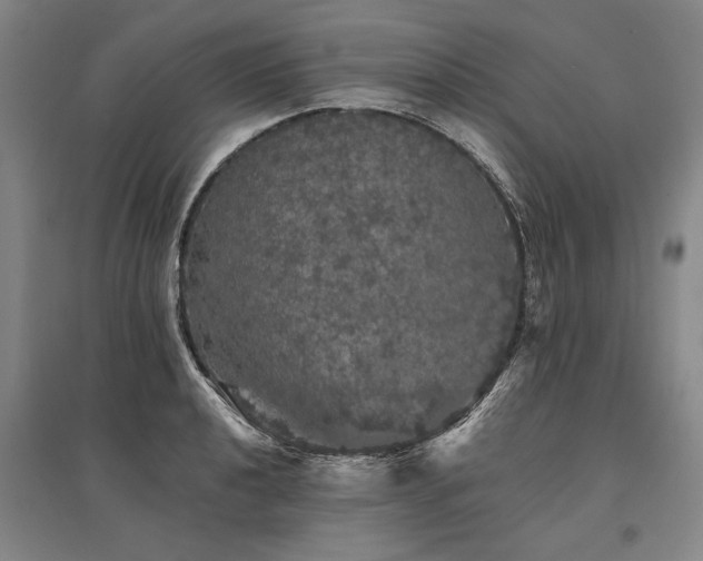 X0000095511040200712141419