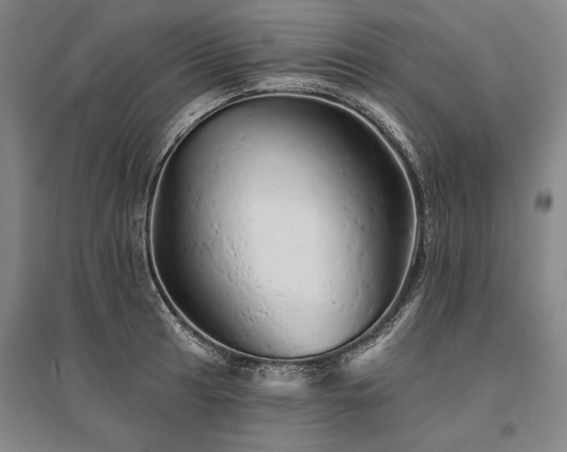 X0000095511041200712141419