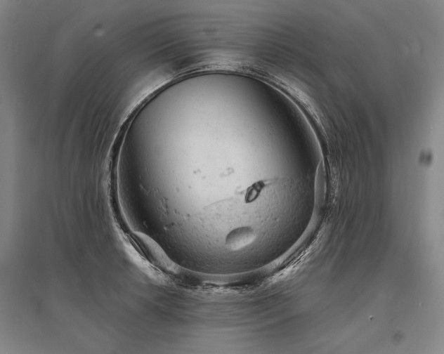 X0000095511042200712141419