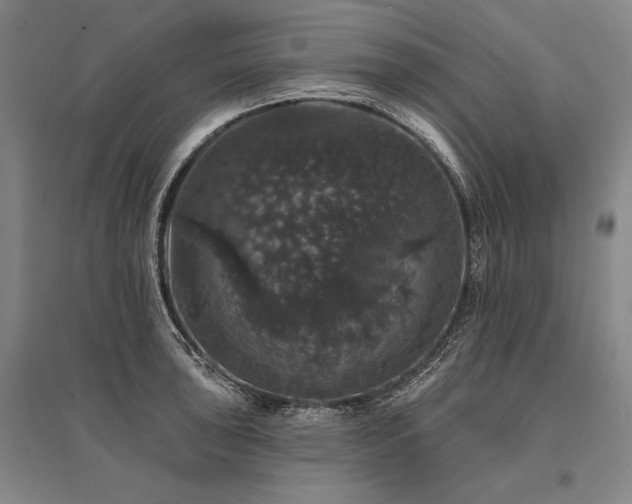 X0000095511043200712141419